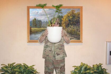 How American Camouflage Conquered the World