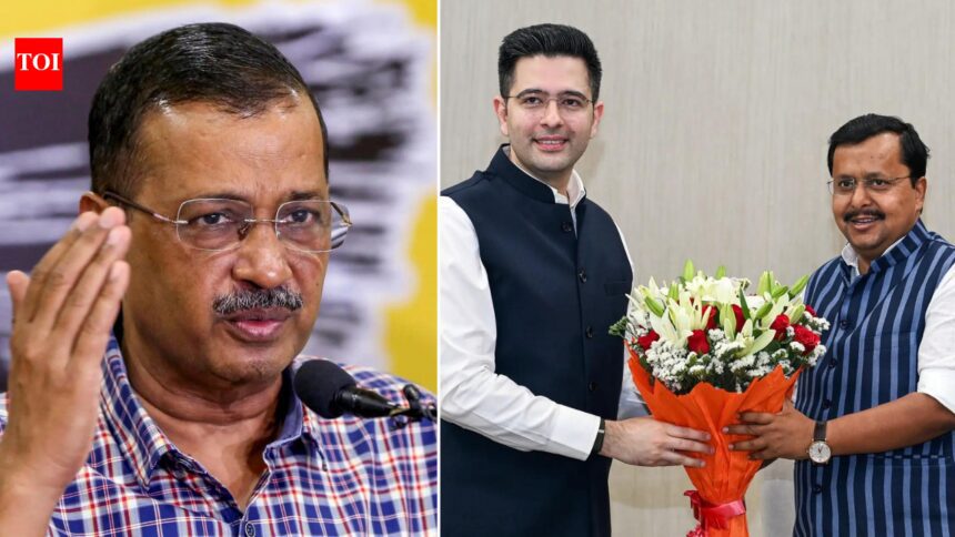 Fastest growing startup to implosion: Future tense for AAP as Raghav Chadha leads Rajya Sabha exodus
