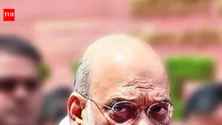 Delimitation needed to preserve one vote, one value: Amit Shah in Lok Sabha
