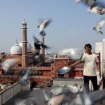 Mughal-era pigeon training survives in heart of India’s capital