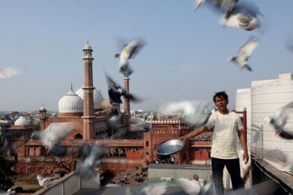 Mughal-era pigeon training survives in heart of India’s capital