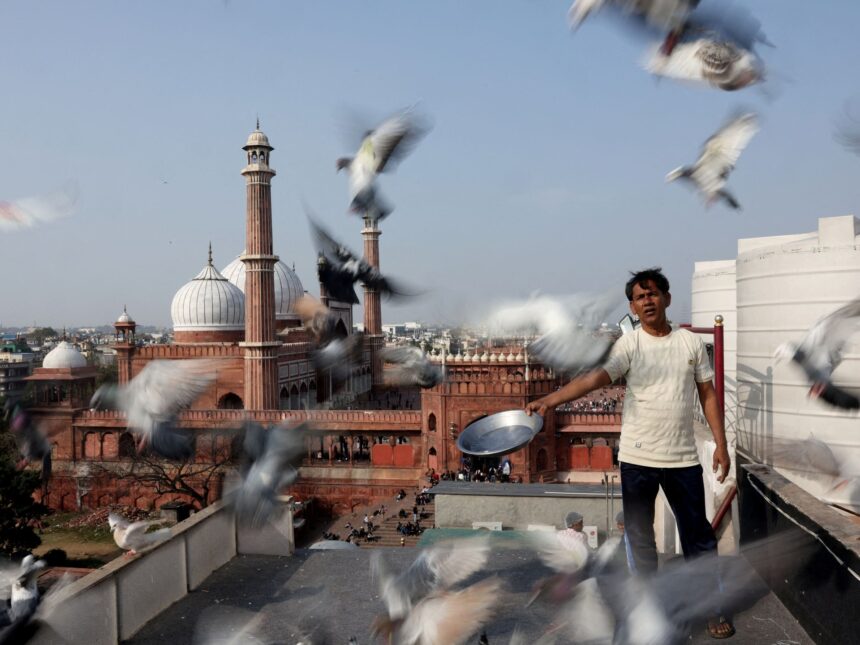 Mughal-era pigeon training survives in heart of India’s capital