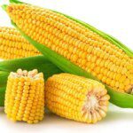 Brazil displaces India as largest exporter of corn to Bangladesh