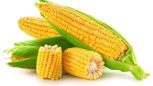 Brazil displaces India as largest exporter of corn to Bangladesh