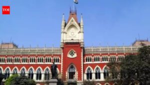 Bengal polls: Calcutta HC cautions EC on preventive detentions