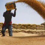 Commerce Ministry notifies decision to allow exports of 25 lakh tonne additional wheat