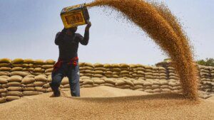 Commerce Ministry notifies decision to allow exports of 25 lakh tonne additional wheat