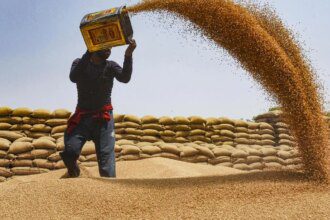 Commerce Ministry notifies decision to allow exports of 25 lakh tonne additional wheat