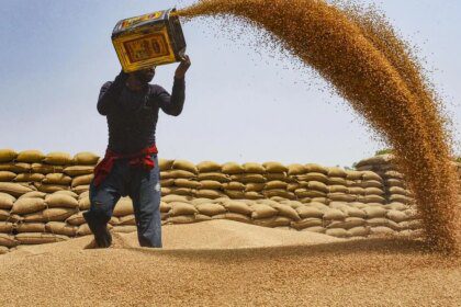 Commerce Ministry notifies decision to allow exports of 25 lakh tonne additional wheat
