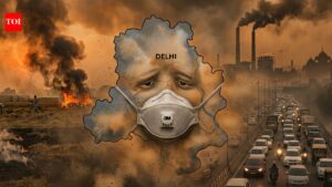 'Dil' of India turns choking lungs: Can Delhi fix its pollution crisis?