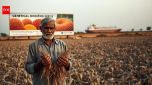Farm groups and civil societies urge govt not to agree imports of GM farm products amid fresh round of India-US trade talks