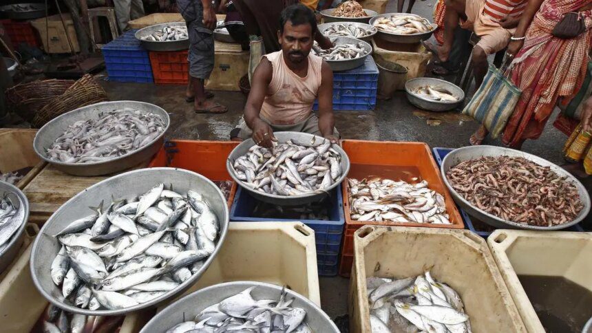 Fish waste finds new life as high-value biomedical material