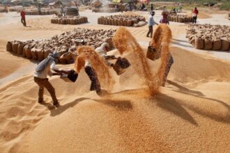 Govt ‘cautiously optimistic’ on wheat production after damage from rains, hailstorms