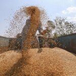 India doubles wheat export quota to 5 million tonnes