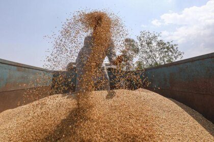India doubles wheat export quota to 5 million tonnes