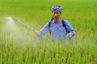 India’s fertilizer production drops as Iran war disrupts supplies