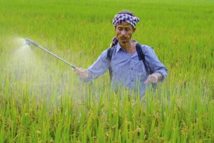 India’s fertilizer production drops as Iran war disrupts supplies