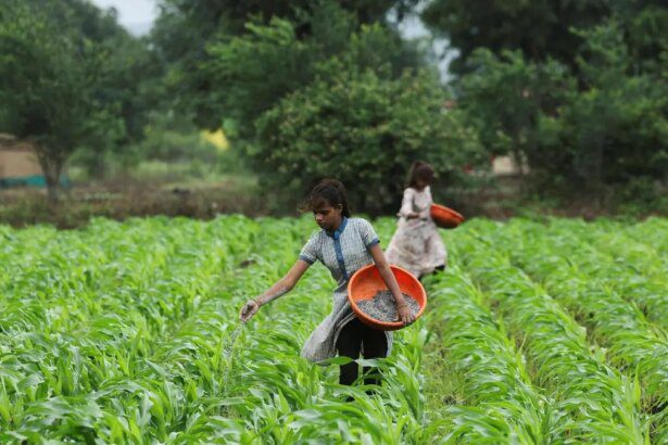 India’s urea stock at 4-year low ahead of kharif sowing season