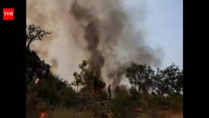 India submits its new climate action pledges to the UN body, flags the conditions to fulfill its promise