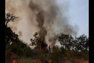 India submits its new climate action pledges to the UN body, flags the conditions to fulfill its promise