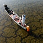 Rains revive Iraq’s wetlands after years of drought
