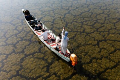 Rains revive Iraq’s wetlands after years of drought