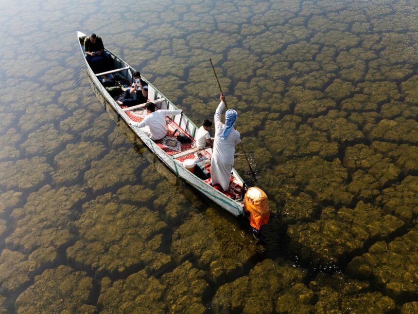 Rains revive Iraq’s wetlands after years of drought