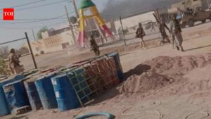 MEA condemns Mali terror attacks, calls for regional stability