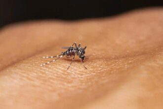 Towards a malaria-free future - The HinduBusinessLine