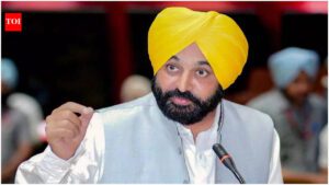 'Fellow MLAs will remain outside': Punjab CM to meet President Murmu over seven AAP RS MPs joining BJP
