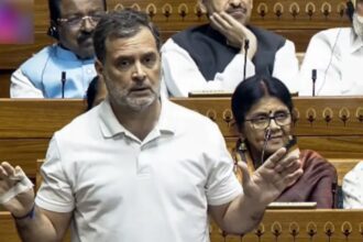 'Whole thing tied to number 16': Rahul Gandhi's intriguing dig at Centre during Delimitation debate; Congress drops hint