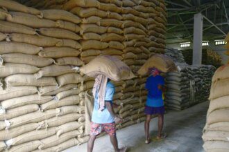 Rice exporters seek Goyal’s intervention on China GMO issue
