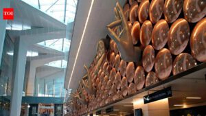 US national stopped for satellite phone-like device in J&amp;K, let off after checks