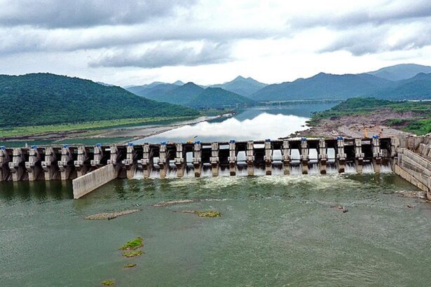 Google Preferred Source