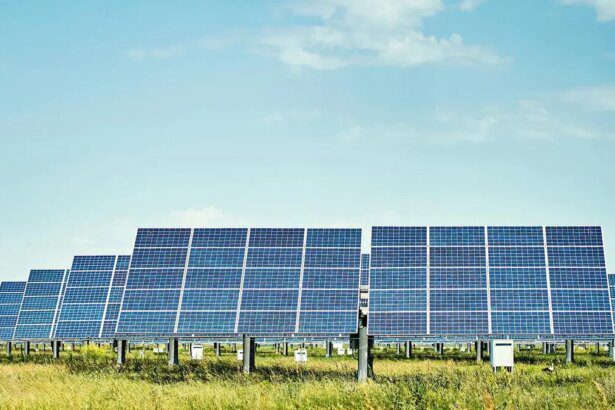 Waaree Renewable shares rally 13% on strong Q4 earnings