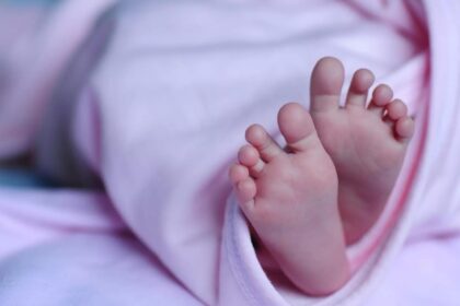 66% of births in 2024 were first-borns; birth spacing for majority now 36 months