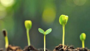 New study highlights AI’s potential to improve soil science