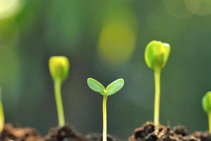 New study highlights AI’s potential to improve soil science