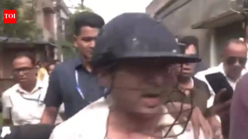 Watch: Abhishek Banerjee beaten, stones and eggs hurled during visit to Bengal's Sonarpur; TMC MP blames BJP