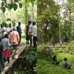 Adivasis demand halt to tiger safari push, evictions in south India forests