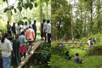Adivasis demand halt to tiger safari push, evictions in south India forests