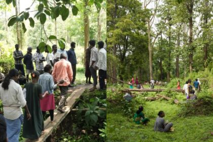 Adivasis demand halt to tiger safari push, evictions in south India forests