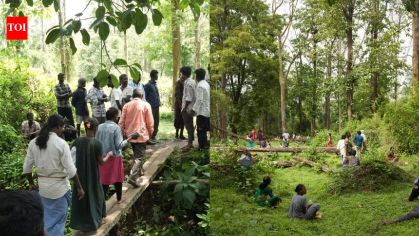 Adivasis demand halt to tiger safari push, evictions in south India forests