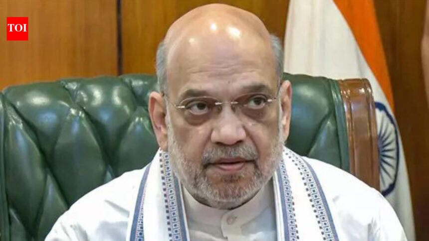 Keep an eye on ‘radicalisation centres’ in border areas: HM Amit Shah