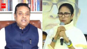 'Making herself a laughing stock': BJP flays Mamata Banerjee for refusing to resign after West Bengal poll loss