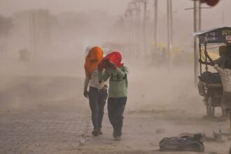 Heavy rain and dust storm leave 33 dead across Uttar Pradesh