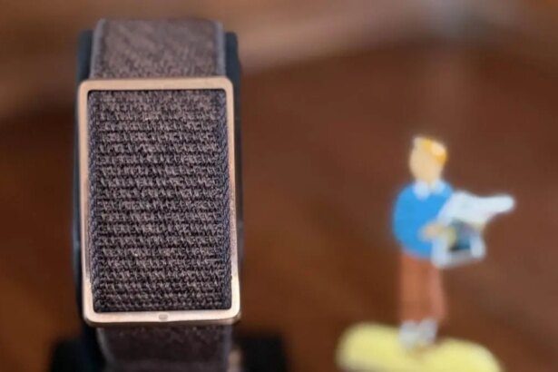 Looking for a screenless wellness tracker?