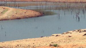 Most models predict El Nino may last until January 2027, says India Meteorological Department