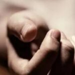 J&amp;K: Elderly dead, 7 in hospital after consuming wild vegetable in Rajouri
