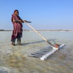 India’s salt workers brave brutal heat on Gujarat’s desert plains